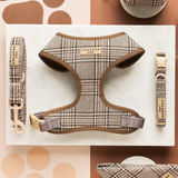 Pup Plaid harness and matching collar arranged in a product flat lay