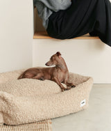 Small dog lying in a beige fleece CAFIDE Snozy dog bed