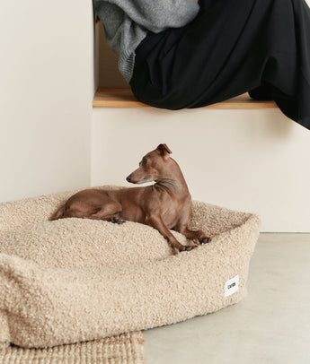 Small dog lying in a beige fleece CAFIDE Snozy dog bed