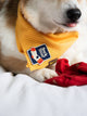 Sock Thief opstrijkpatch voor honden