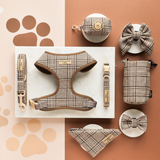 Complete Pup Plaid walking set arranged on a peach and cream background