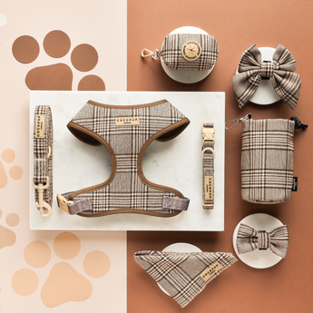 Complete Pup Plaid walking set arranged on a peach and cream background