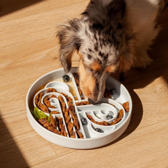 Official brand photo: Zoomies slow feeder bowl | Blueberry, view 2