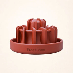 FreezLava