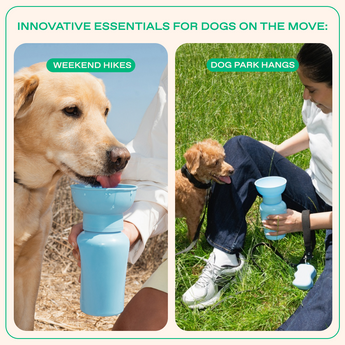 Springland Pets 20oz Flip Dog Travel Water Bottle in Sky Blue, image 5
