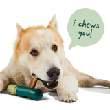 Woof BullySafe Bully Stick & Pizzle Chew Holder