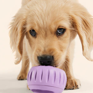Woof Pupsicle