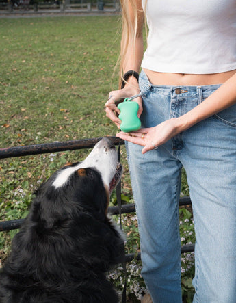 Faire gallery 5 247d0a86: Springland Pets Silicone Dog Treat Dispenser in Green