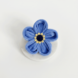 Cocopup London Forget Me Not Collar Flower in blue velvet with a yellow and black centre on white