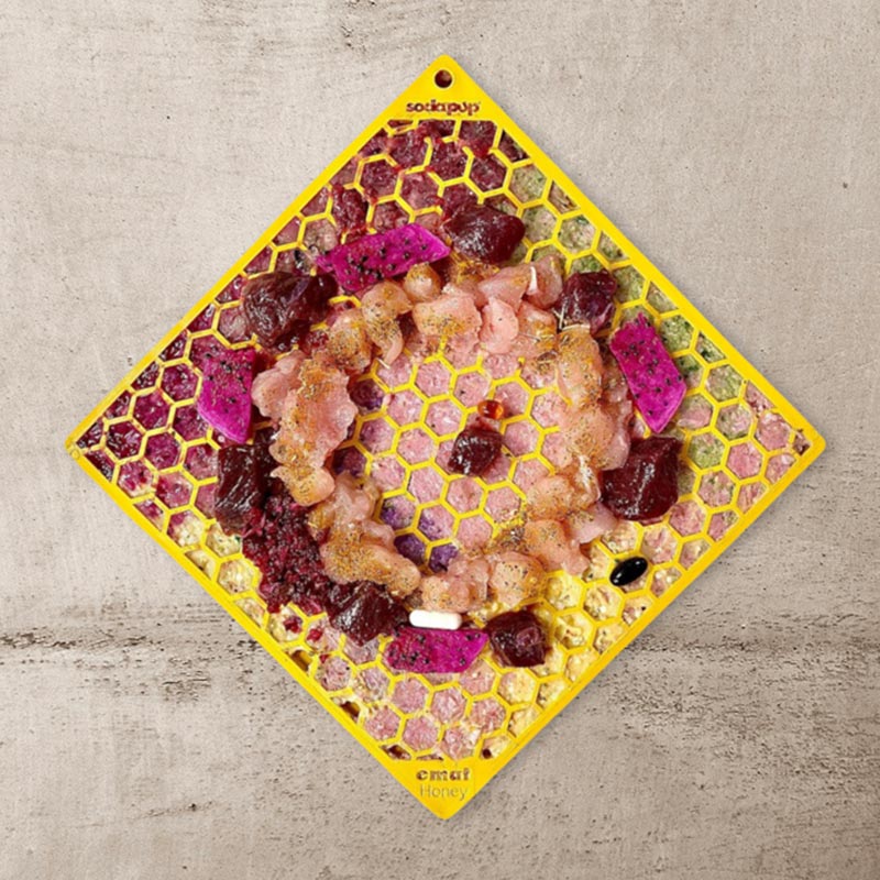 Honeycomb Design Enrichment Lick Mat