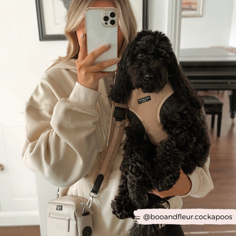 Woman holding a black curly dog while wearing the Teddy Rupert bag strap and cream bag