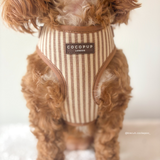 Close front view of a small brown curly-coated dog wearing the London Linen Stripes harness, by Cocopup London