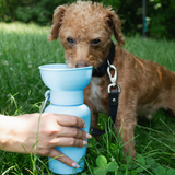 Faire gallery 19 548ce27e: Springland Pets 20oz Flip Dog Travel Water Bottle in Sky Blue