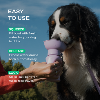 Springland Pets 20oz Flip Dog Travel Water Bottle in Lilac, image 3
