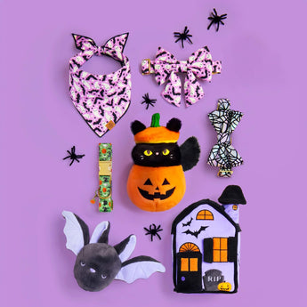 Bat 2-in-1 Bounce dog toy styled with The Foggy Dog Halloween collection