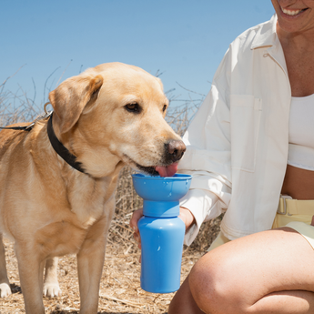 Faire gallery 9 612b4a84: Springland Pets 20oz Flip Dog Travel Water Bottle in Blueberry