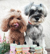 Two dogs behind a selection of Meaty Licks peanut butter pouches outdoors