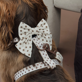 Rear view of a brown dog wearing the Tiramisu Polka Dot bow tie with a matching harness