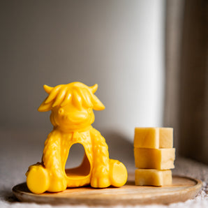 Refill Cheese Nuggets