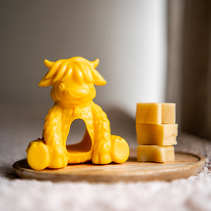 Refill Cheese Nuggets (10-pack)