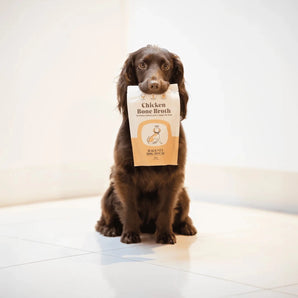 Chicken Bone Broth Powder