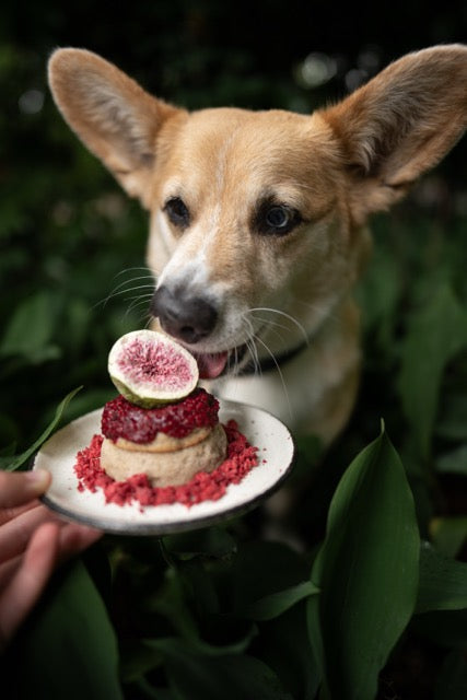 Freeze-Dried Figs (Halves)