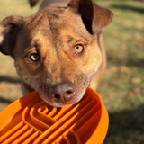 Official brand photo: Zoomies slow feeder bowl | Pumpkin, view 3