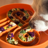 Official brand photo: Zoomies slow feeder bowl | Pumpkin, view 4