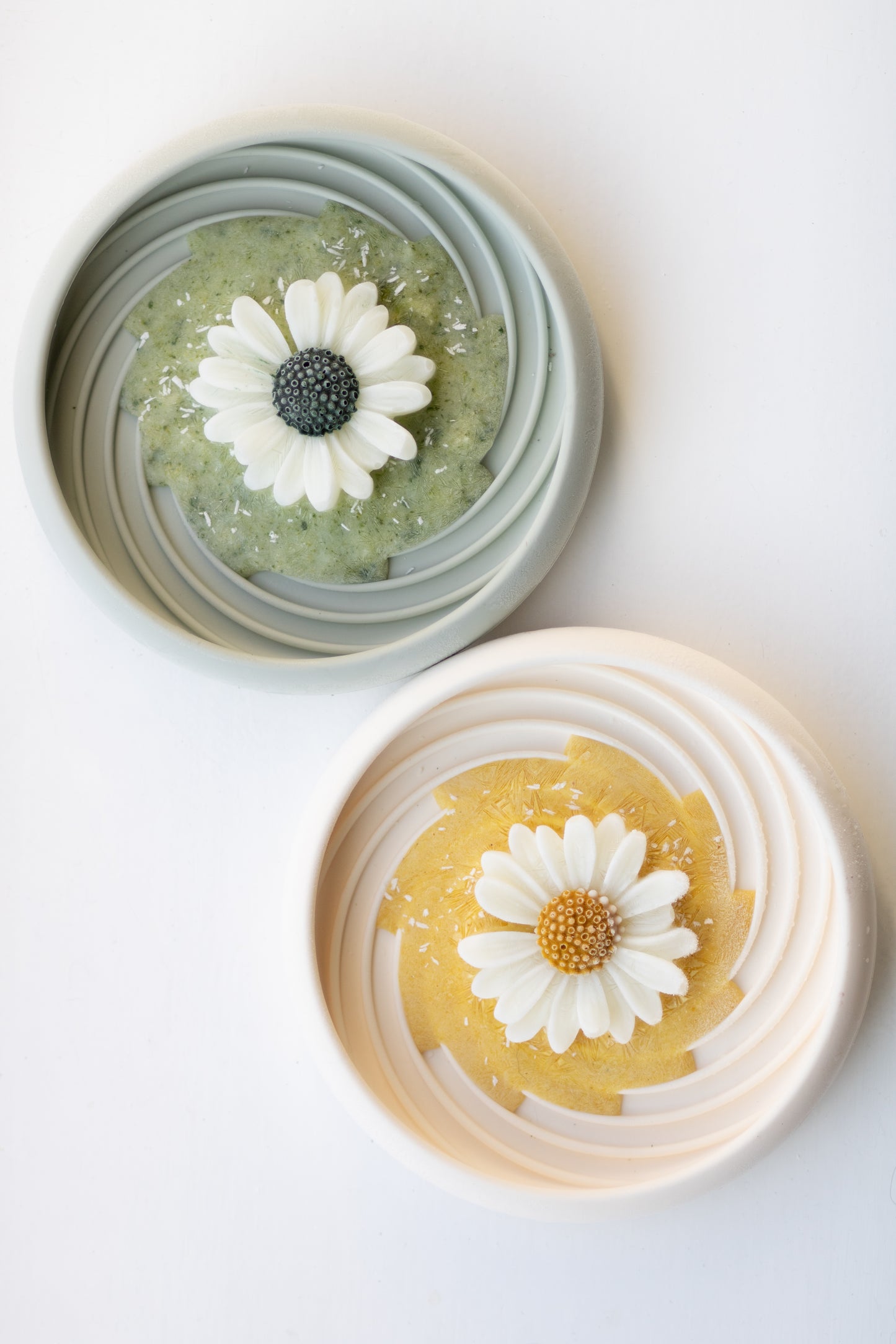 Daisy Mold