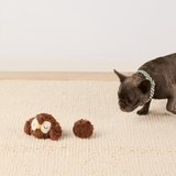Animated demonstration of a dog approaching the Owl toy and removable ball
