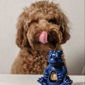 Puff And Play Toy (4 Nuggets Included)