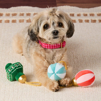 Christmas Ornament Boxed Dog Toy Set - official product photo
