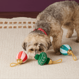 Christmas Ornament Boxed Dog Toy Set in action