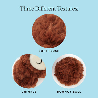 Close-up guide to the Owl dog toy's plush, crinkle and bouncy-ball textures