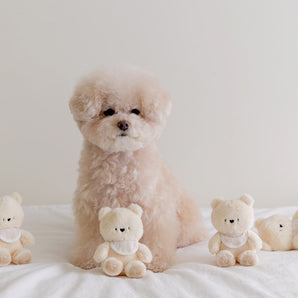 SSFW My Bestie Bear Toy