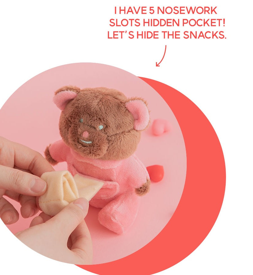 Love Bear Nosework Toy