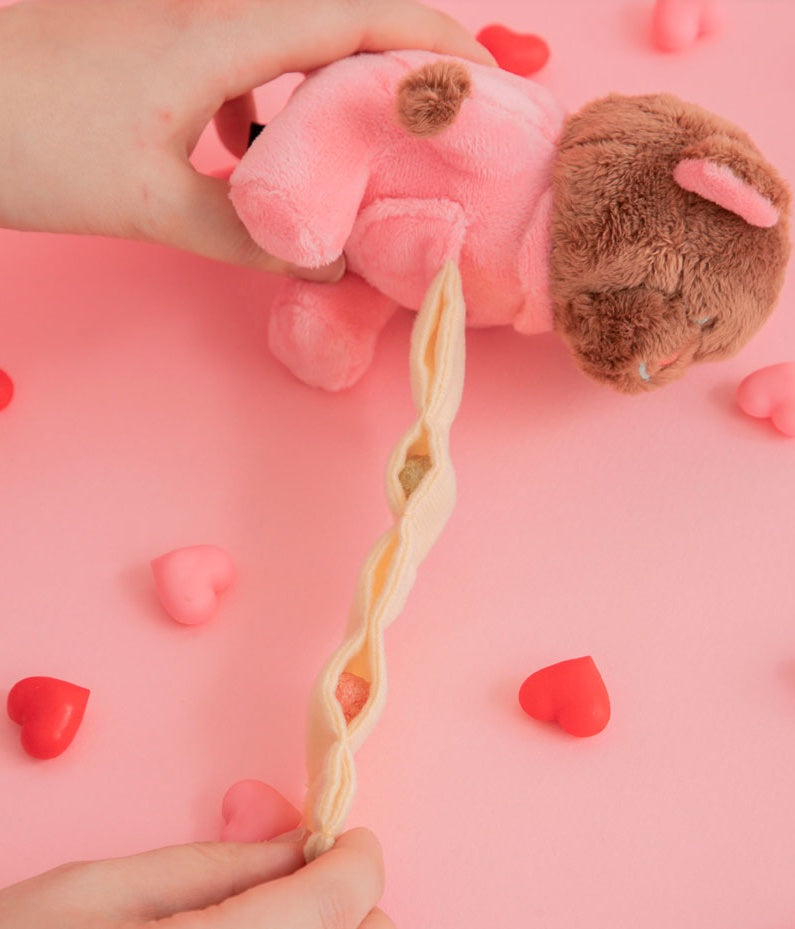 Love Bear Nosework Toy