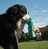 Springland Pets 20oz Flip Dog Travel Water Bottle in Green, image 2