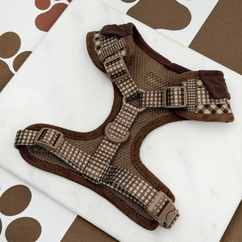 Back of Cotswolds Check harness laid flat, showing buckles and adjustable straps