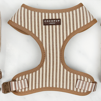 Front view of the London Linen Stripes Adjustable Neck Harness on white, by Cocopup London