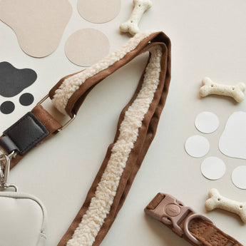 Brown Aviator strap folded beside matching brown dog-walking accessories on a neutral flat lay