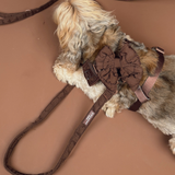 Small shaggy dog lying on a brown floor wearing the Cocopup London Espresso Quilted Sailor Bow Tie and matching harness