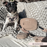 Black and white French bulldog beside Teddy Rupert walking bag and matching accessories on a sofa
