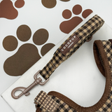 Cotswolds Check dog lead coiled in a flat lay, showing padded handle and silver swivel clip