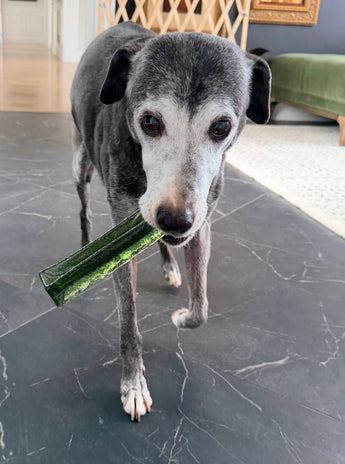 Wag & Bright Mighty Marrows collagen dental chews: Spirulina Beef
