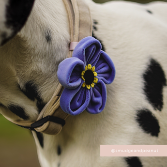 Close-up of the Cocopup London Forget Me Not Collar Flower fastened to a Dalmatian collar