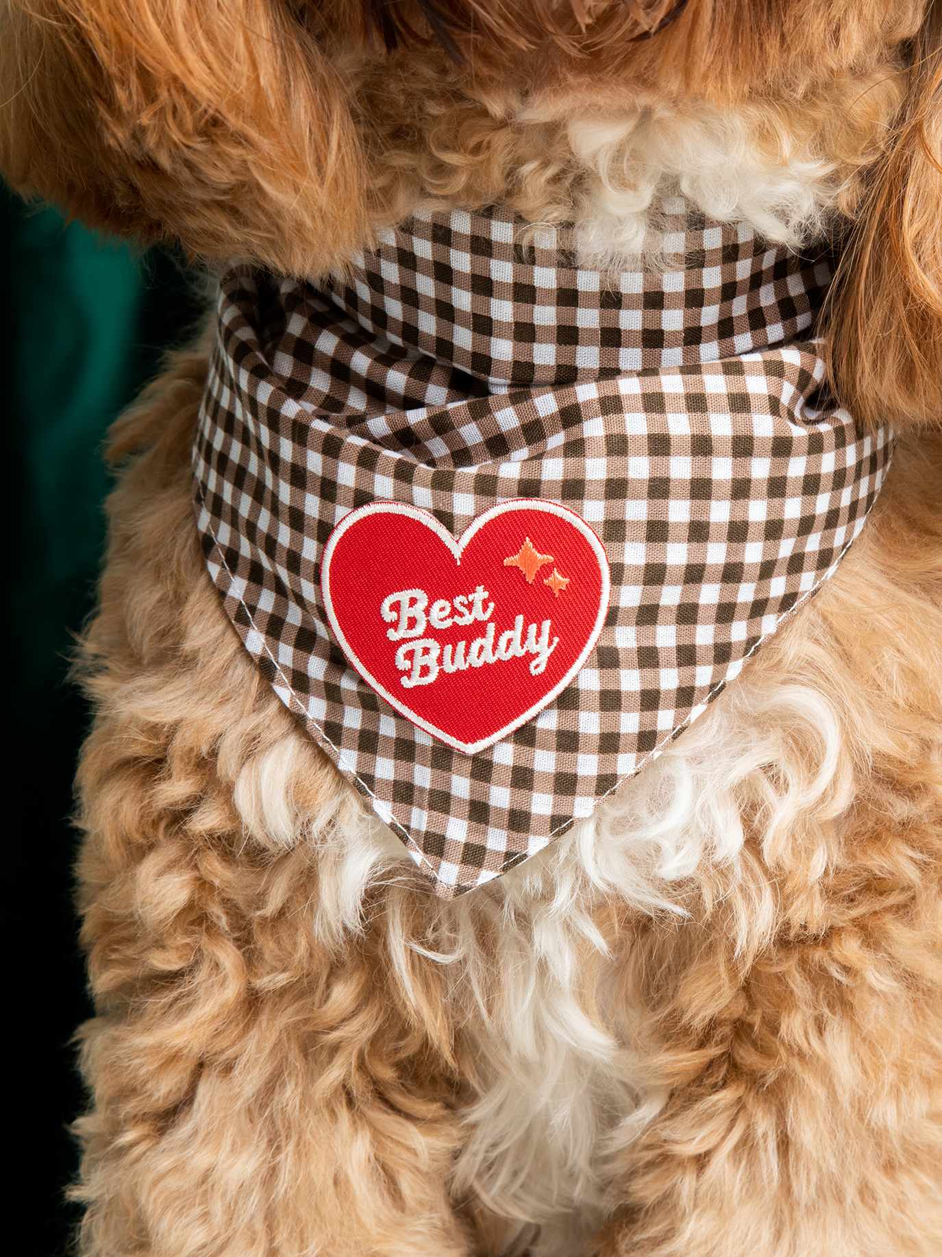 Best Buddy iron-on patch for dogs