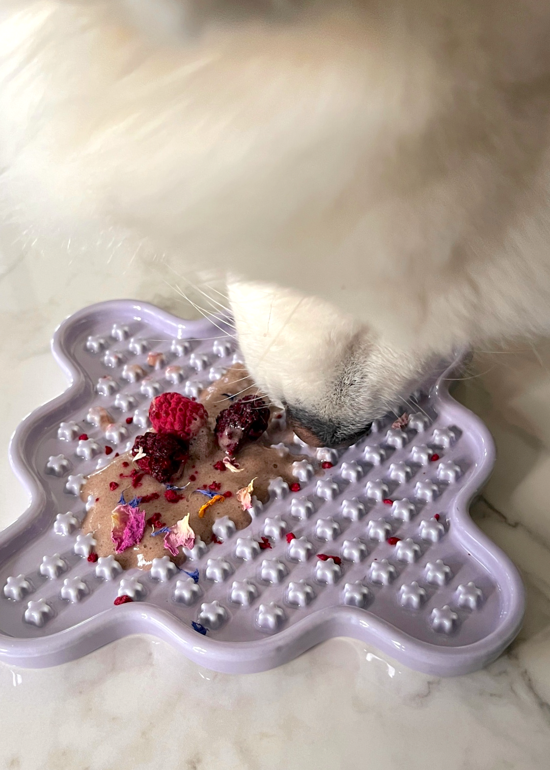 Cosmo Cookie Ceramic Lick Mat