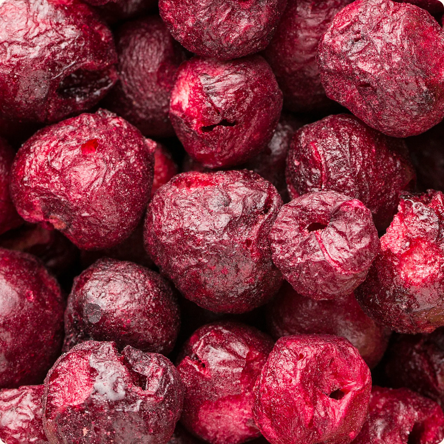 Crunchy Fruit Organic Cherries