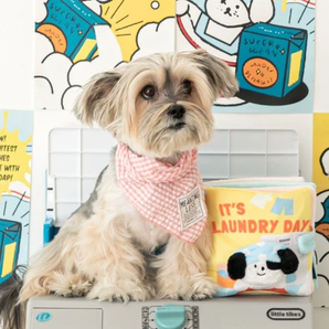 Laundry day Nosework Book